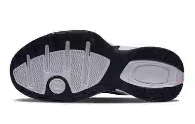 Nike Air Monarch 4