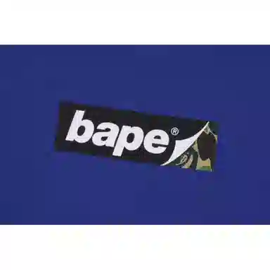 A BATHING APE Hoodie