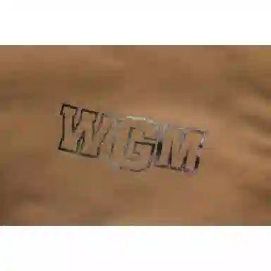 A BATHING APE FW22 Shark Print Hooded Jacket