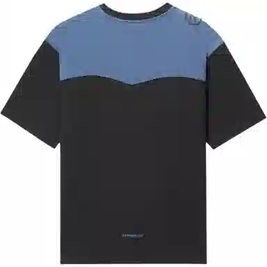 levis T
