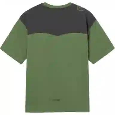levis T