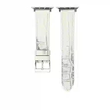 apple watch10iwatch9876se