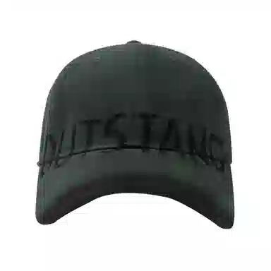 浪莎 复古大写字母刺绣时尚百搭 棉 鸭舌帽 男女同款情侣款