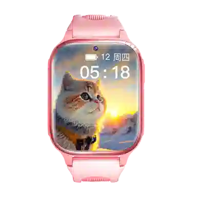 - 4G GPS