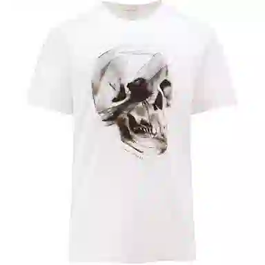 Alexander McQueen Skull Print T-Shirt
