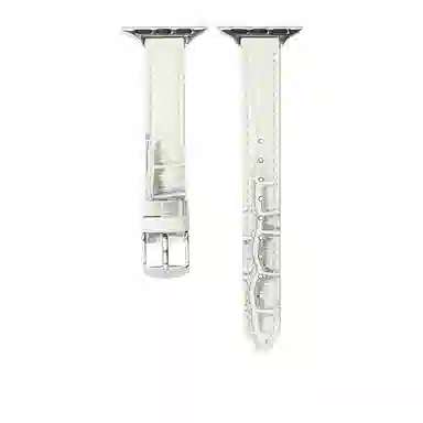 apple watch10iwatch9876se