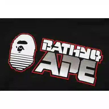 A BATHING APE Hoodie