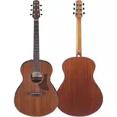 Ibanez AAM50AAM54AAM50CE 41
