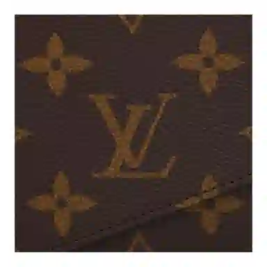 Louis Vuitton Pochette Félicie