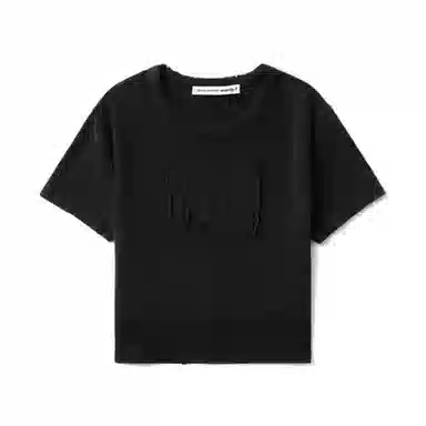 alexander wang logo T
