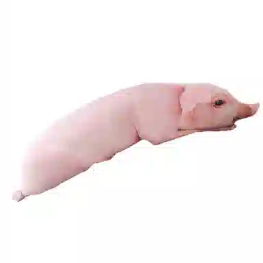 50cm70cm90cm120cm155cm