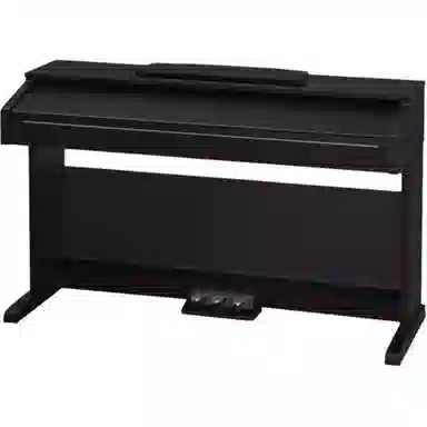 Roland () RP30