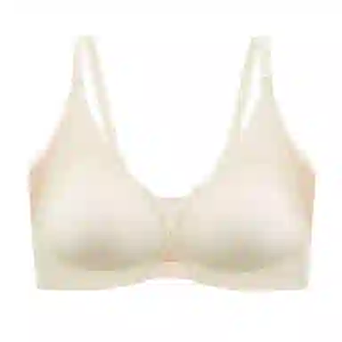 二三二三 亲肤柔软无痕舒适透气吸汗聚拢防下垂侧收副乳美背简约百搭文胸 女款