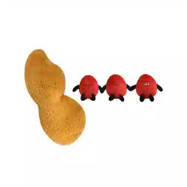 48cm