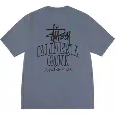 Stussy FW25 SS25 CALI GROWN TEE PIGMENT DYED logoT