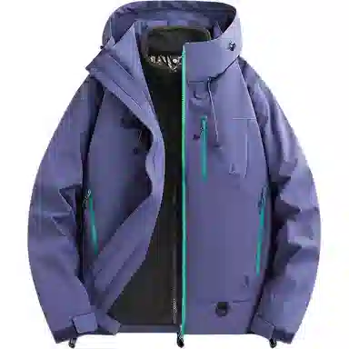 METE WHALE MT