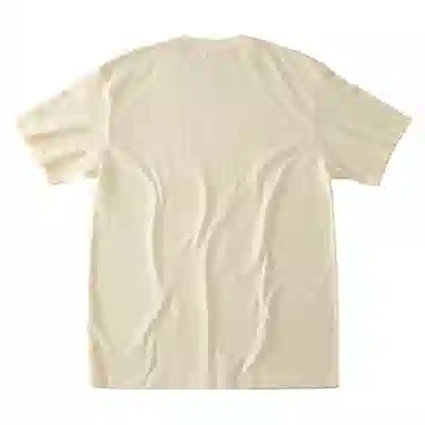 SANTASTIC T