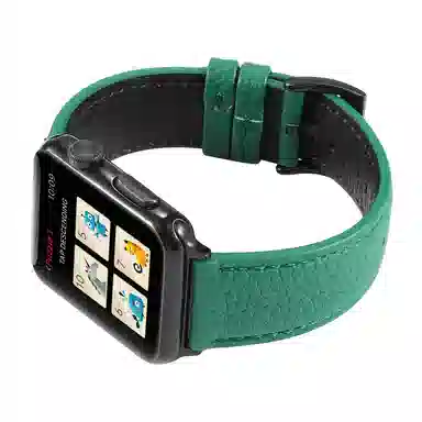 TooGowa apple watch