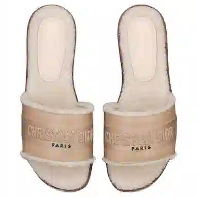 DIOR Dway