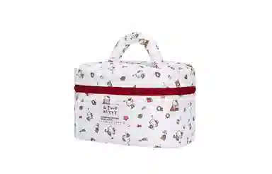 zgo x Sanrio hellokitty