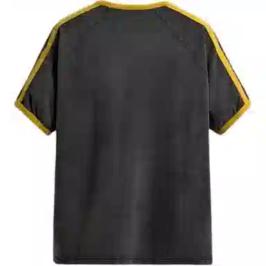 ZARA T