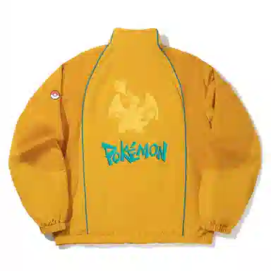 x POKEMON