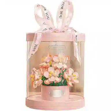 ZOCO 800pcs zoco-wj297