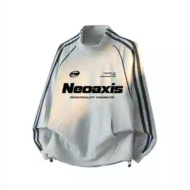 NEOAXIS 300