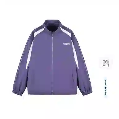 pallsupol