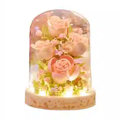 Brangdy DIY7 301-600pcs BRA-JM-91-1