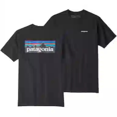 patagonia T
