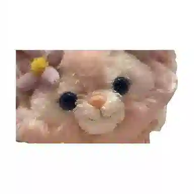 Disney x DISNEYLAND -