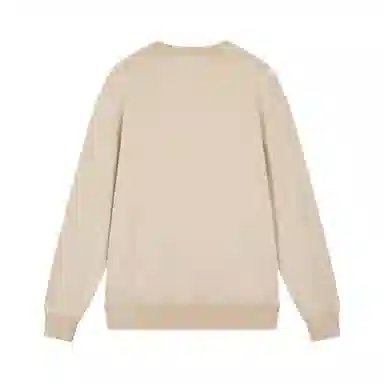 Champion SS25 Mineral Dye