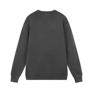 Champion SS25 Mineral Dye