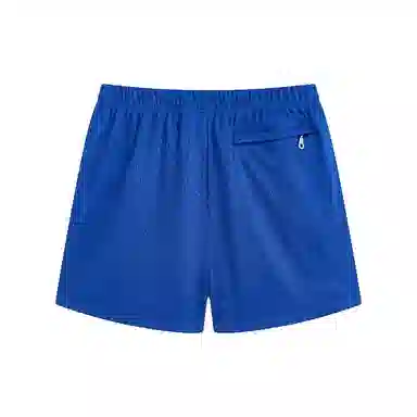 Snowday NewYork World Tour Short