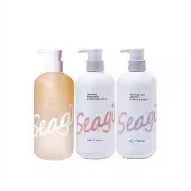 SEAGILON 520ml*2