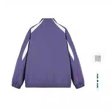 pallsupol