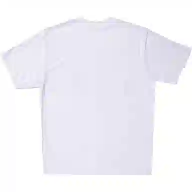 SANTASTIC T