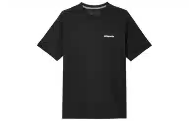 patagonia T