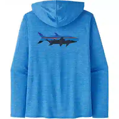 patagonia Men's Capilene Cool Daily Graphic Hoody T