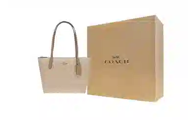 COACH Fiona 24 Tote