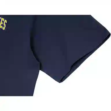 Dickies T DK012902B29