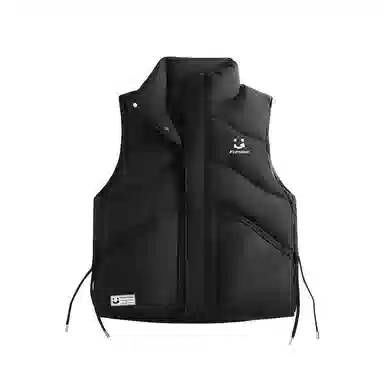 鸭鸭 日常休闲运动户外保暖立领无袖羽绒服 女款