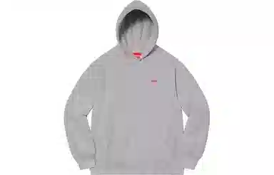 Supreme SS21 Week7 Small Box Hooded Sweatshirt Box Logo