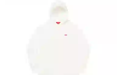 Supreme SS21 Week7 Small Box Hooded Sweatshirt Box Logo