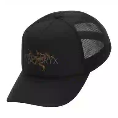 Arcteryx Logo Cap Black