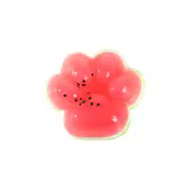 ZANC Summer Watermelon Paw