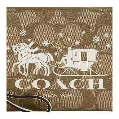 COACH Corner Zip Wristlet 16