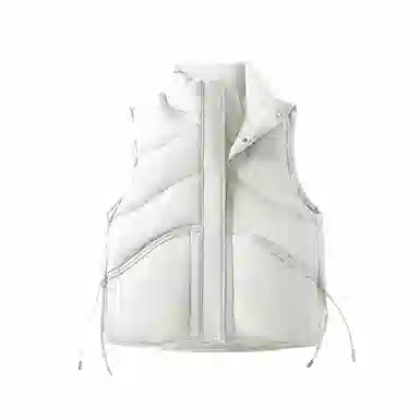 鸭鸭 纯色立领休闲羽绒服 女款