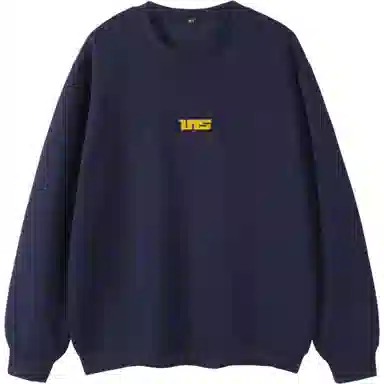 INS inslogo